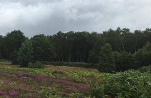 Silvergrove Apartment in E Sussex - Foto 43