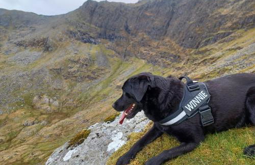 Conwy Pen Cefn Farm Holiday - Photo 18