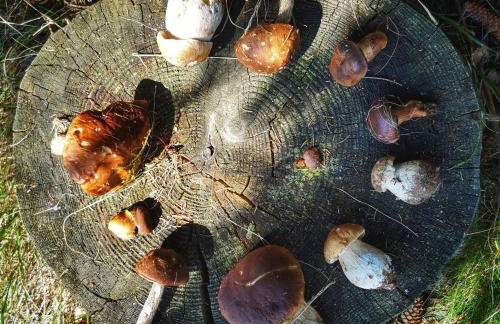 Butikowe apartamenty w Sudetach - TRZY MORZA - pod górą Trójmorski Wierch - Foto 54