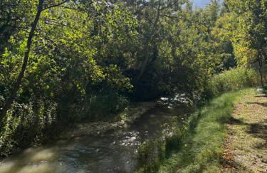 Le petit Auzon - Foto 57