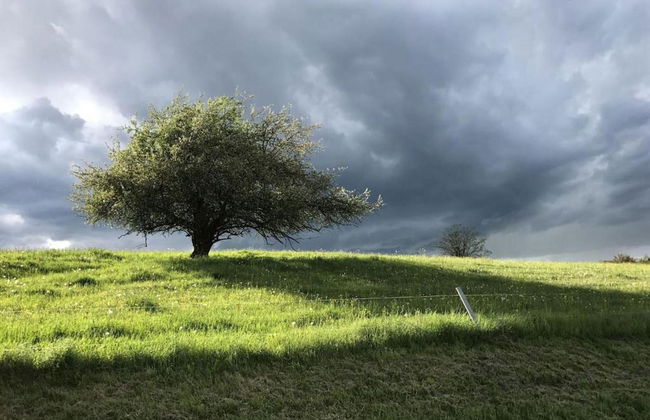 Charming Bungalow in Tabarz Thüringer Wald With Garden - Foto 21