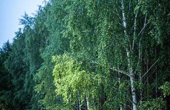 APARTAMENTY ZACISZE - Foto 77