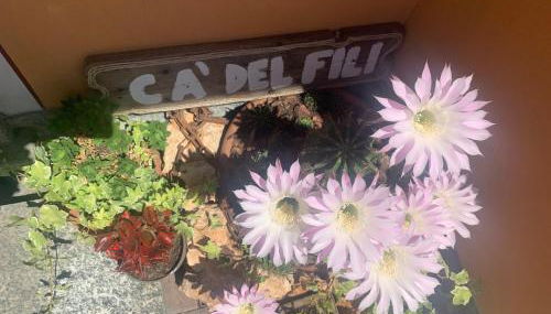 Cà del Fili - Foto 4