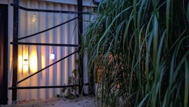 Ferienhaus kleine Perle - Photo 3, Garden