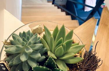 La bulle des Viennes MAISON CLIMATISEE - CHAMPAGNE - Foto 13