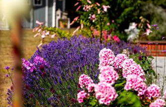 Wintertraum in Damm - 70 qm Wellness & Wohlfühl-Atmosphäre - Foto 40