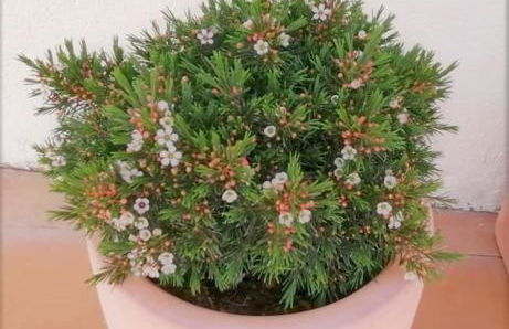 Cozy apartment with private courtyard - Foto 21