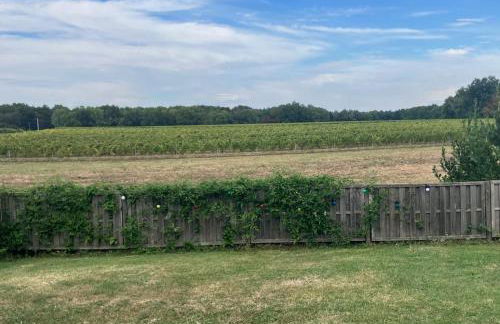 Le Chai des Annereaux - Foto 15