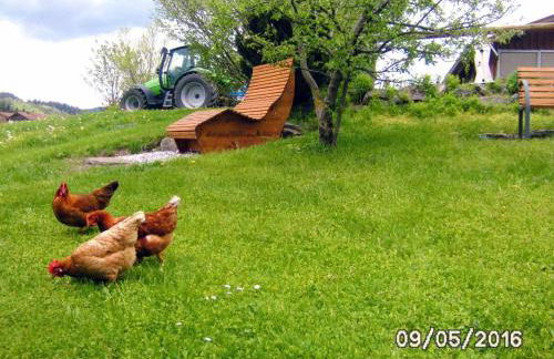 Ferienbauernhof Köpf - Foto 12