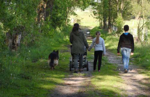 Agroturystyka Biebrzańska Kraina - Foto 21