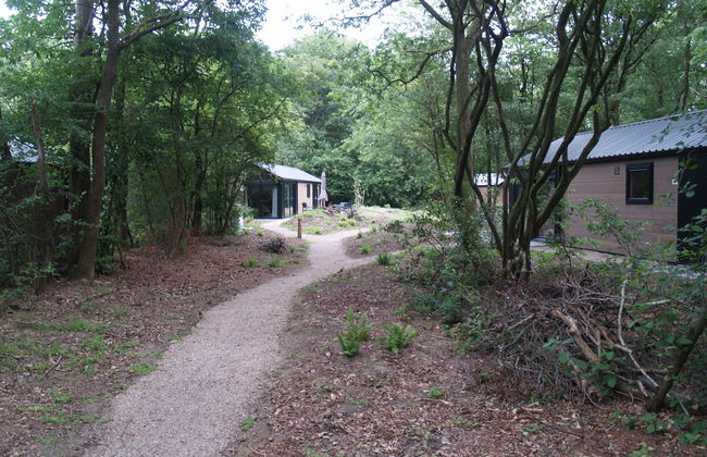 2 bedroom House in Ruinen with swimming pool and terrace - Photo 10