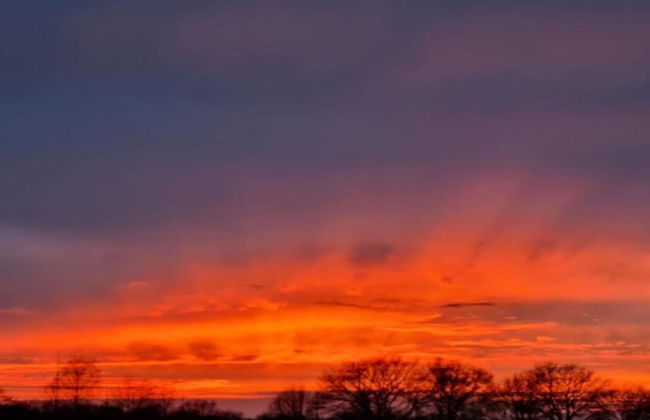 Holiday Home in Elsendorp With Garden - Foto 44