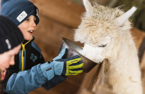 Aparthotel Familiaris - Family Apartments - Pools & Spa in Dolomites - Photo 56