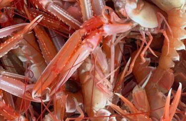 Ardmair Bay House - Foto 22