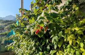 La Mansarda dei Tre Cipressi - Foto 28