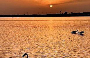 Apartment San Pedro del Pinatar - Foto 12