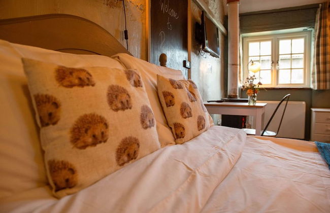 High Paradise Farm - Foto 20