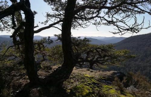 Ludwig im Künstlerhaus - Foto 19