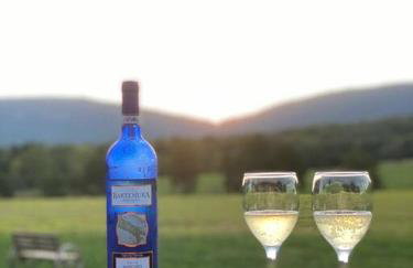 Holly Tree Retreat Located In Beautiful Luray, VA. - Foto 38