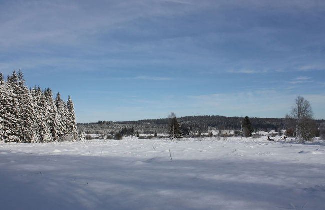 Cozy Forest Chalet Escape - Photo 34