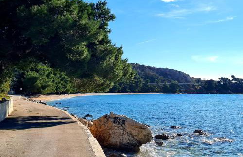 Vila Maslina Apartments mit Pool und Garten nahe am Strand - Foto 30