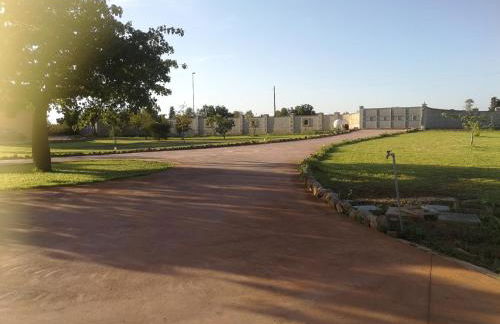 LaChorisia - Foto 29