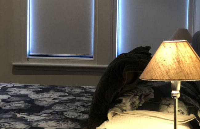 Bond Street Apartment Luxury 3-bedroom - Foto 9