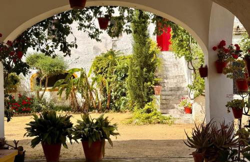 Hacienda Don Rodrigo - Foto 5