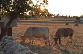 Agriturismo Il Melograno - Foto 94