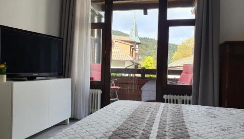 Gemütliche Ferienwohnung am Kurpark in Bad Herrenalb - Foto 2