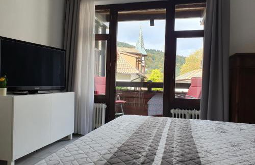 Gemütliche Ferienwohnung am Kurpark in Bad Herrenalb - Foto 2