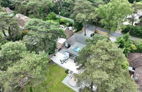 Kiwi Pines forest retreat! - Foto 6