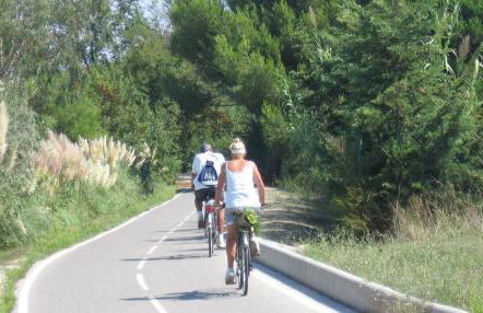Studio à 50 m de la plage et du sentier littoral - Foto 16