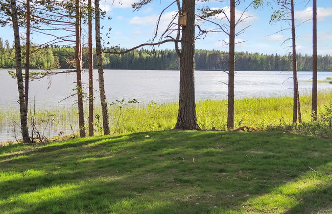 Nesterin helmi - Foto 27