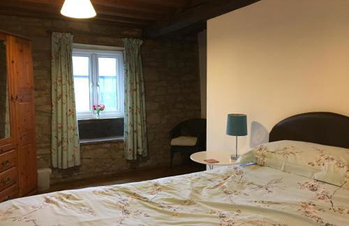 Llwyn Llwyd Cottage - Photo 20