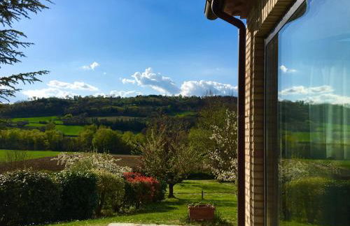 Agricola Caicucci - Foto 20