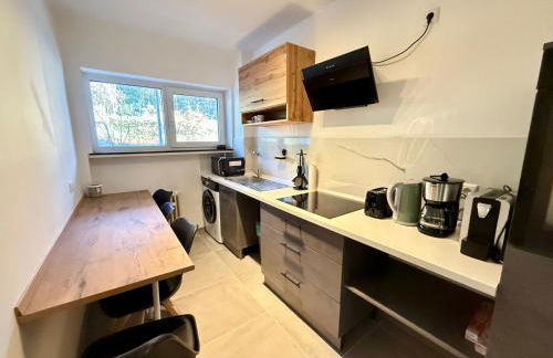 Business Apartment City 5 Betten & Parkplatz - Foto 4