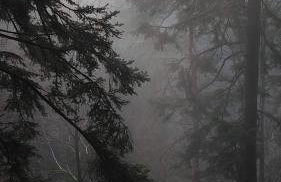Schöne Aussicht - Foto 24