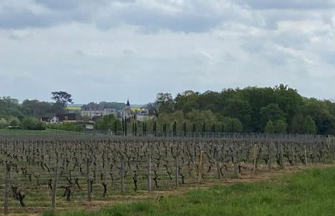 La Tuilerie - Foto 16