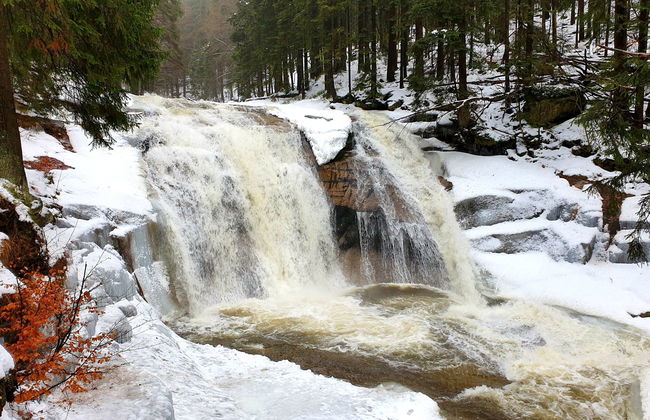 1 bedroom Apartment in Harrachov - Photo 22
