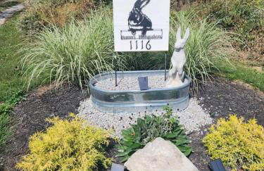 Bunny Bungalow Romantic Getaway in a Spacious Geodome - Foto 33