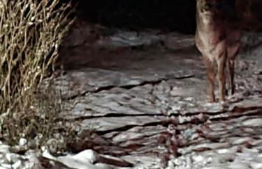 4 Sterne-Haus am See - Foto 40