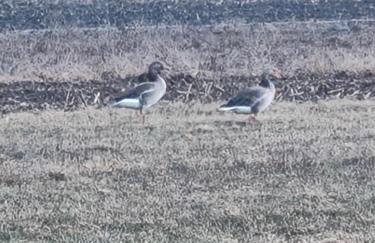 House by the Śliwno-Waniewo footbridge, close to the park - Foto 21