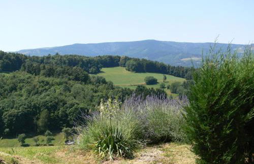 Gîte la Sapinière - Foto 7