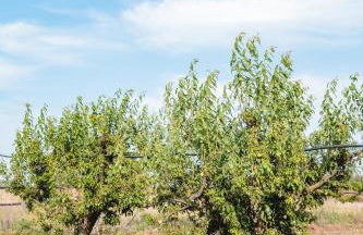 Masseria Piutri - Photo 10