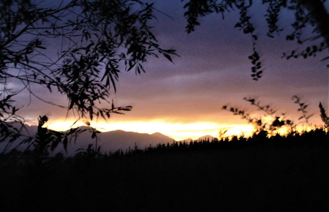 Teniqua Treetops - Foto 66