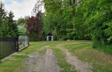 Domek w Lesie Bory Tucholskie - Foto 31