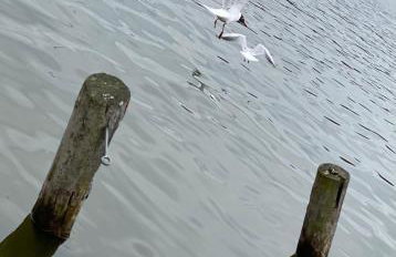 Przy Złotych Piaskach 1 - Foto 61