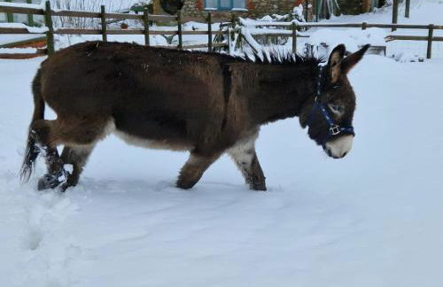 1 Bed in Picklescott oc-o35147 - Foto 16