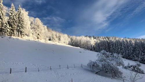 La Guillemette - Foto 3